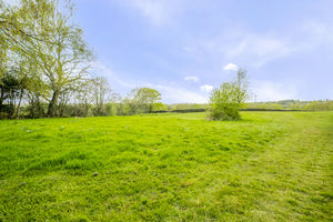 Photo 24- click for photo gallery